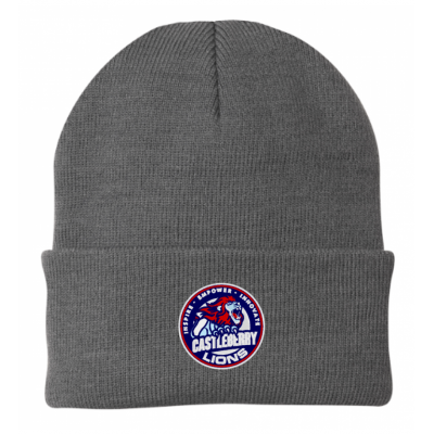 Unisex CISD Grey Beanie